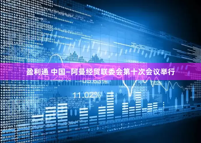 盈利通 中国—阿曼经贸联委会第十次会议举行